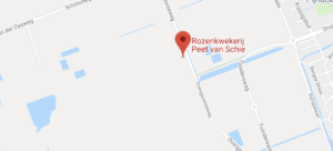 Locatie kwekerij